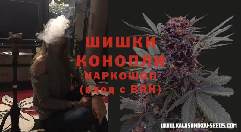 hydra ONION  Минеральные Воды  Каннабис White Widow 